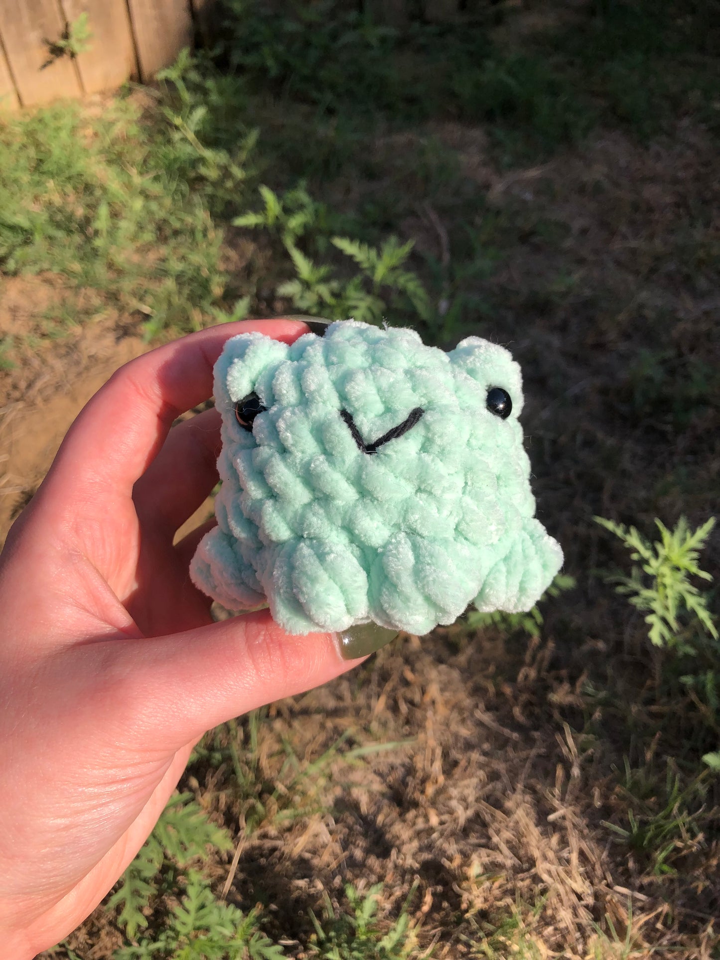 Frog Friend